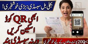 Electricity Bill Subsidy With QR Code Online